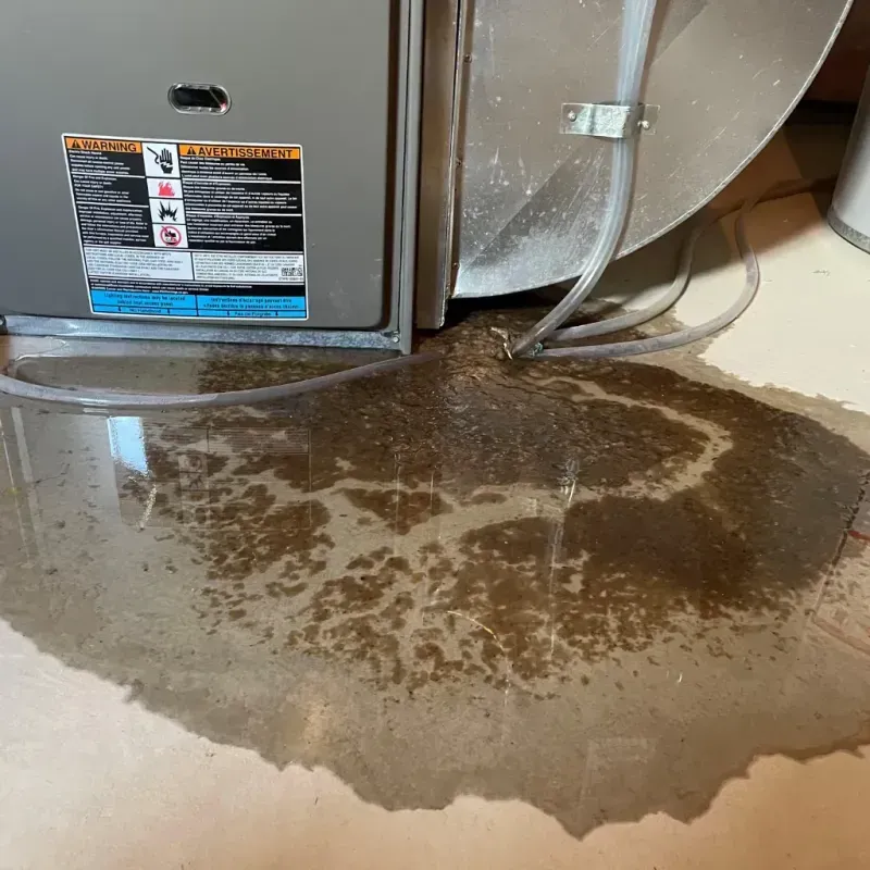 Appliance Leak Cleanup in Hawesville, KY